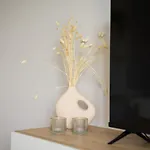 Sofia Navarro Bello, 1 P2 E شقة *